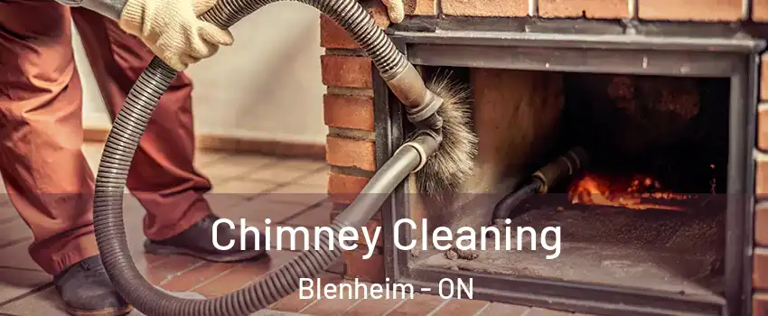 Chimney Cleaning Blenheim - ON