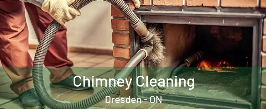  Chimney Cleaning Dresden - ON