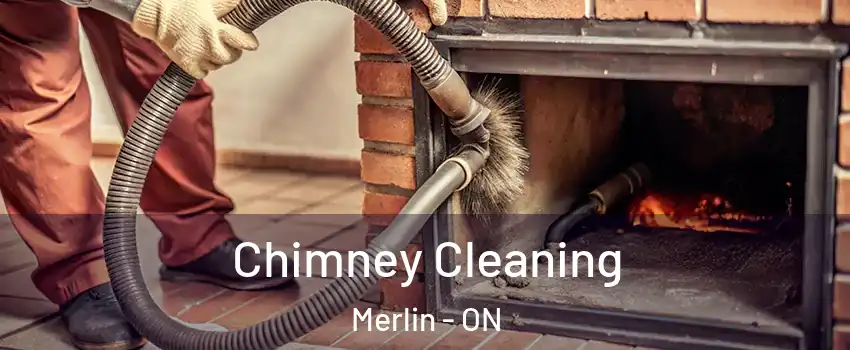  Chimney Cleaning Merlin - ON