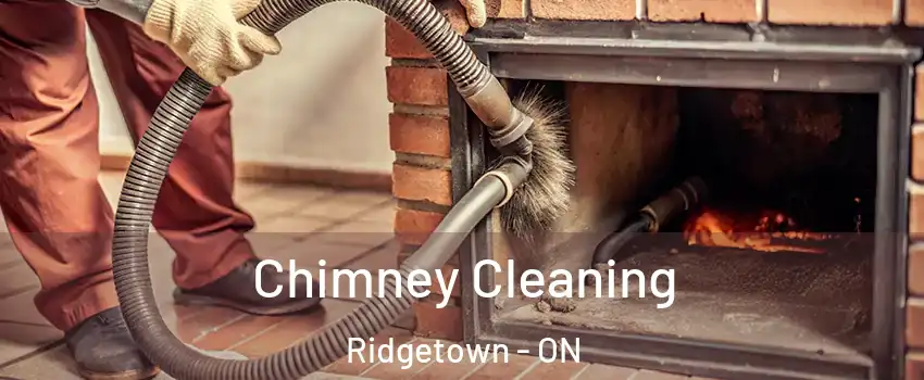  Chimney Cleaning Ridgetown - ON
