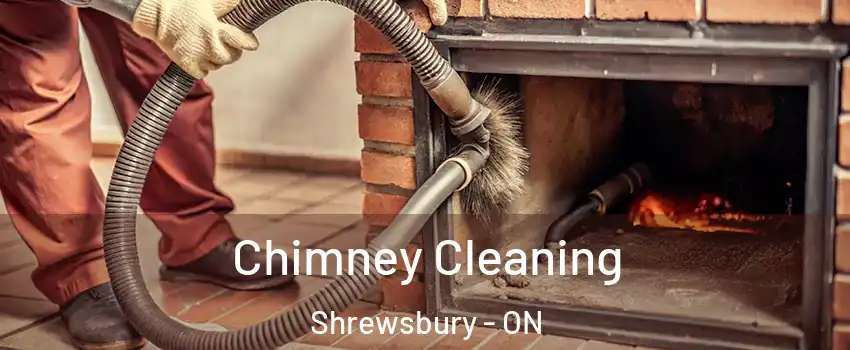  Chimney Cleaning Shrewsbury - ON