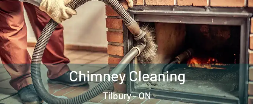 Chimney Cleaning Tilbury - ON