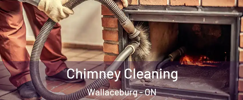  Chimney Cleaning Wallaceburg - ON