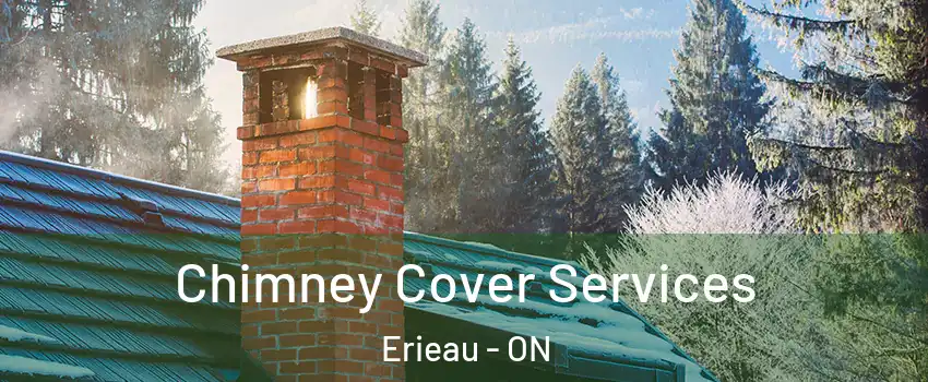  Chimney Cover Services Erieau - ON