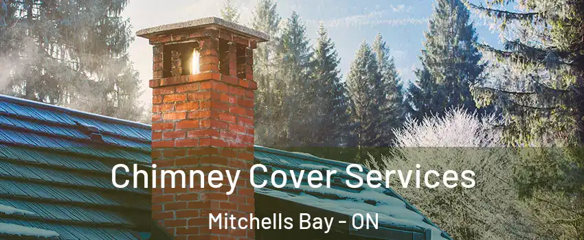  Chimney Cover Services Mitchells Bay - ON