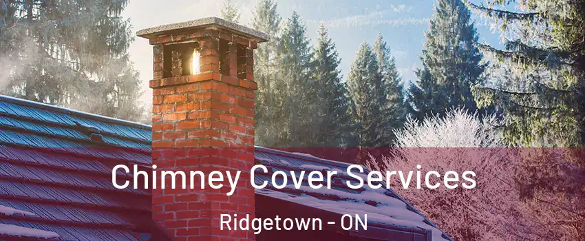  Chimney Cover Services Ridgetown - ON