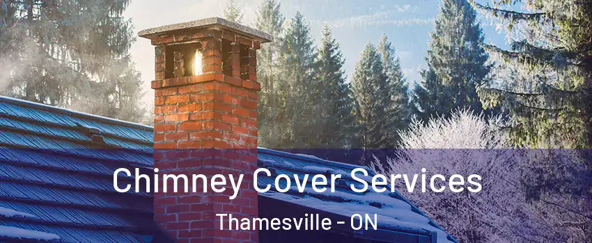  Chimney Cover Services Thamesville - ON