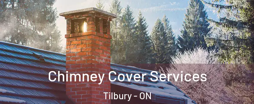  Chimney Cover Services Tilbury - ON