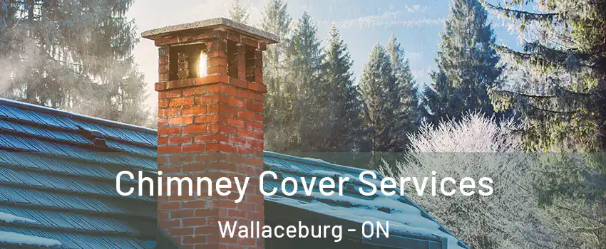  Chimney Cover Services Wallaceburg - ON