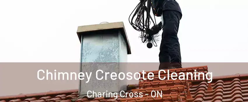 Chimney Creosote Cleaning Charing Cross - ON