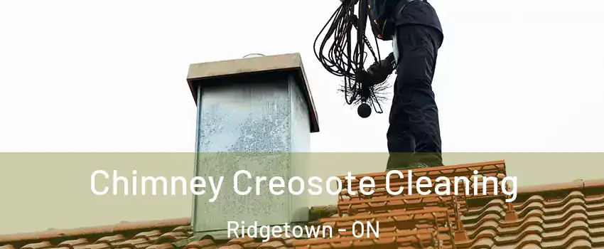  Chimney Creosote Cleaning Ridgetown - ON