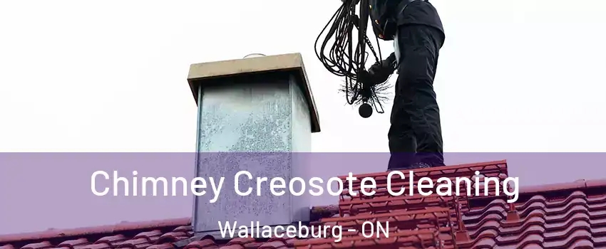  Chimney Creosote Cleaning Wallaceburg - ON