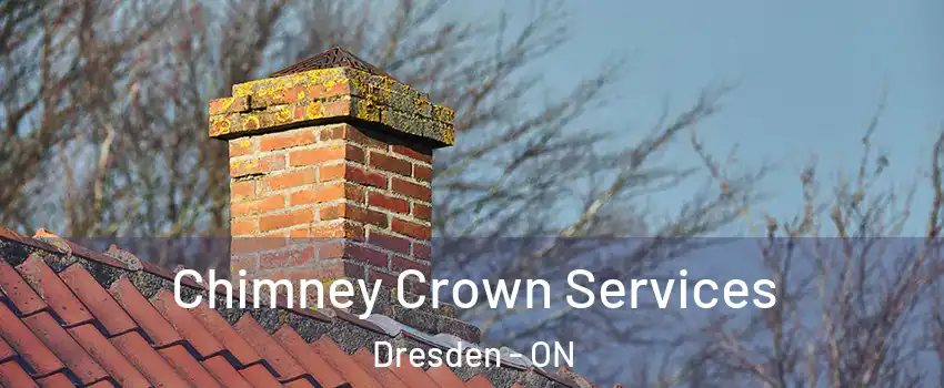  Chimney Crown Services Dresden - ON