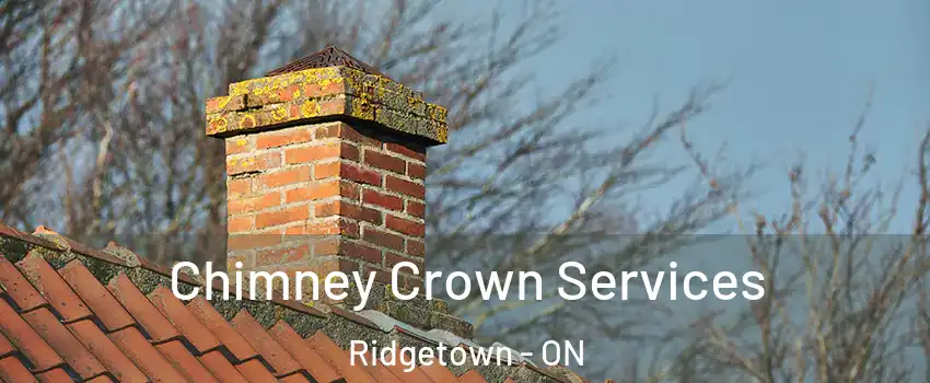  Chimney Crown Services Ridgetown - ON