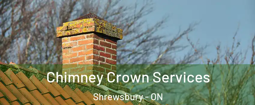  Chimney Crown Services Shrewsbury - ON