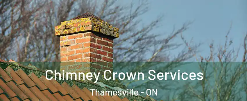  Chimney Crown Services Thamesville - ON