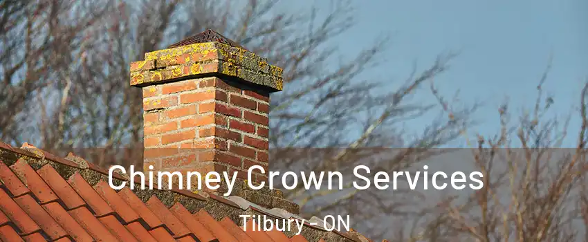  Chimney Crown Services Tilbury - ON