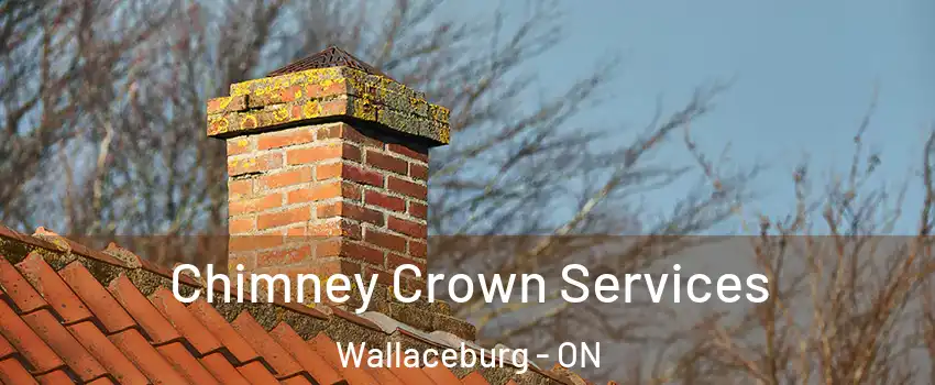  Chimney Crown Services Wallaceburg - ON