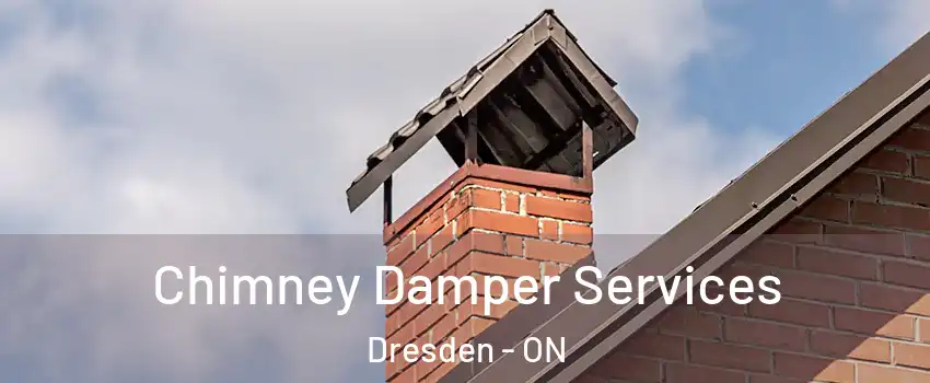  Chimney Damper Services Dresden - ON
