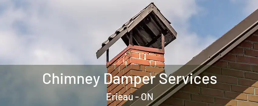  Chimney Damper Services Erieau - ON