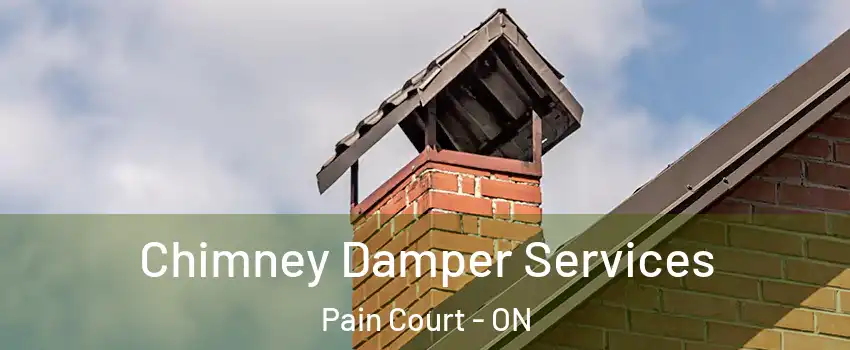 Chimney Damper Services Pain Court - ON