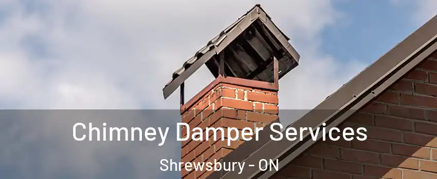  Chimney Damper Services Shrewsbury - ON