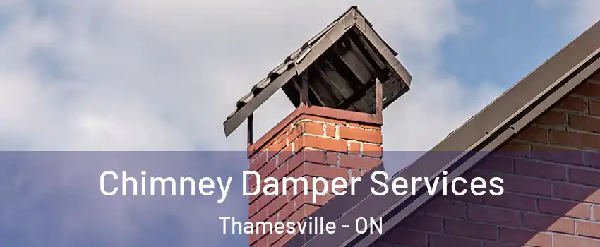  Chimney Damper Services Thamesville - ON