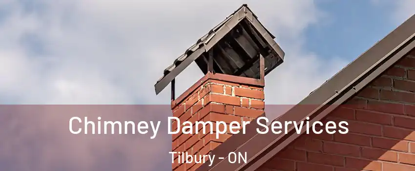  Chimney Damper Services Tilbury - ON