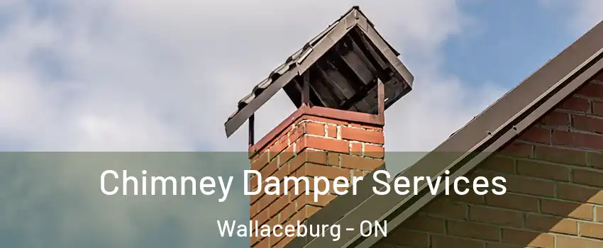  Chimney Damper Services Wallaceburg - ON