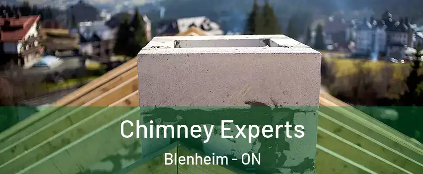 Chimney Experts Blenheim - ON