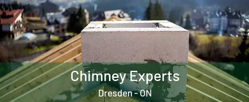 Chimney Experts Dresden - ON