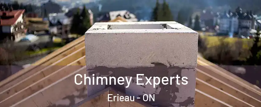 Chimney Experts Erieau - ON