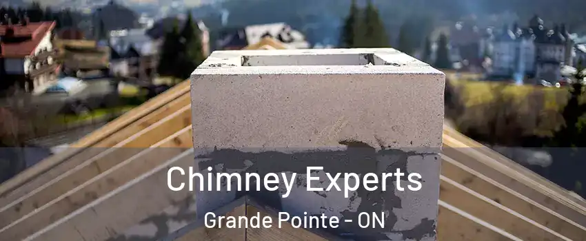Chimney Experts Grande Pointe - ON