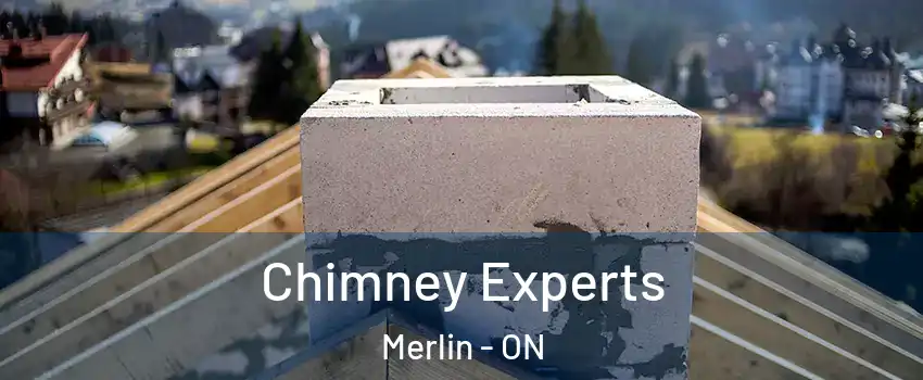 Chimney Experts Merlin - ON