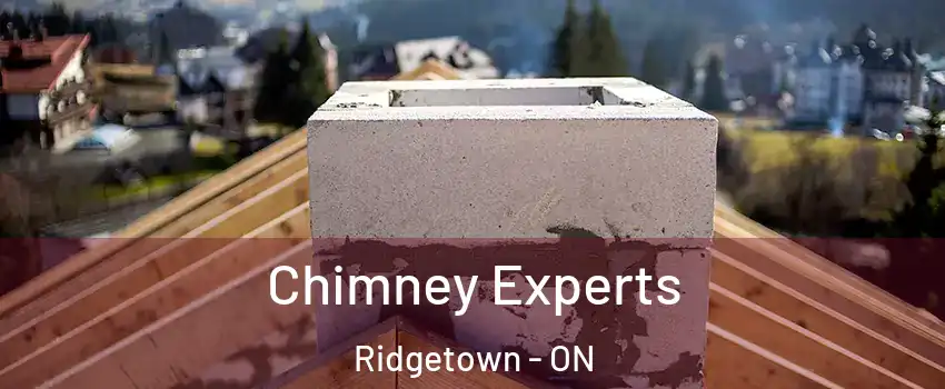 Chimney Experts Ridgetown - ON