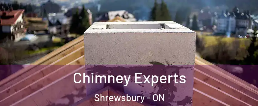 Chimney Experts Shrewsbury - ON