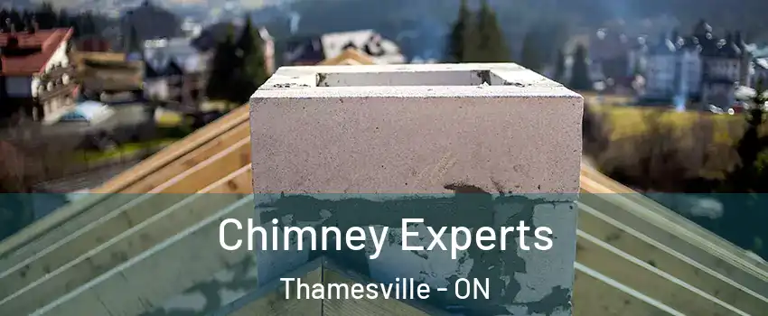 Chimney Experts Thamesville - ON