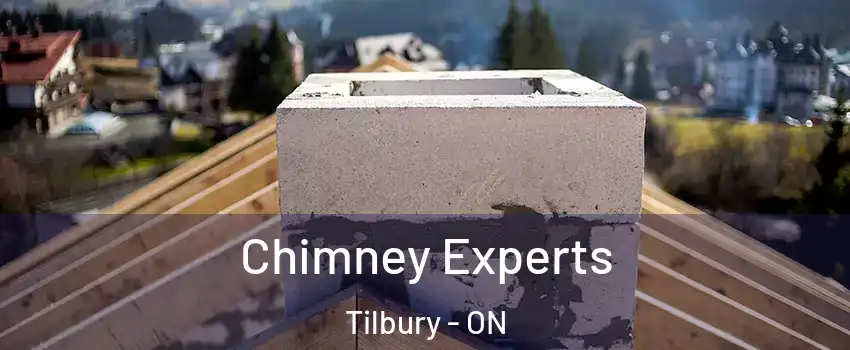 Chimney Experts Tilbury - ON