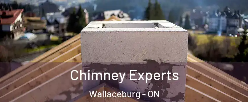 Chimney Experts Wallaceburg - ON
