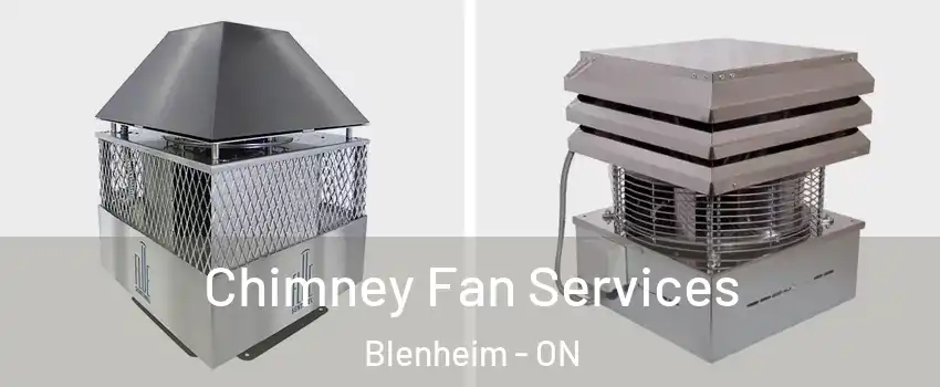  Chimney Fan Services Blenheim - ON