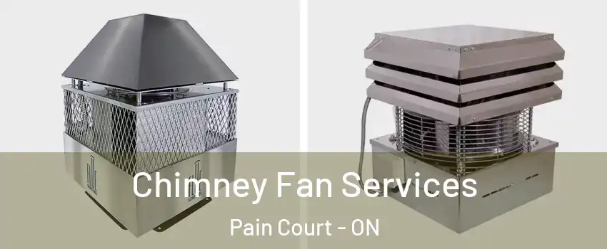  Chimney Fan Services Pain Court - ON