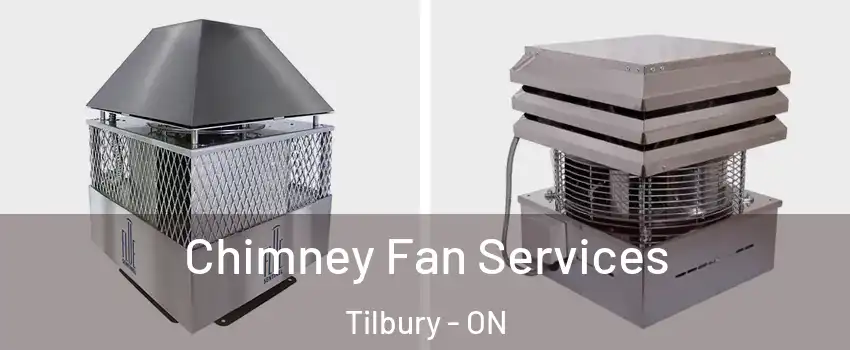  Chimney Fan Services Tilbury - ON