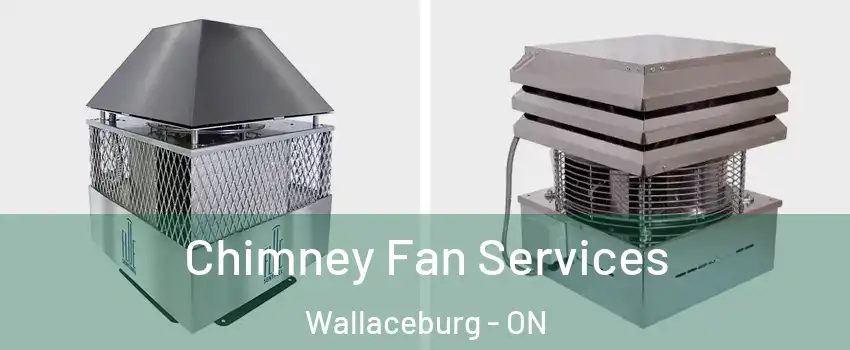  Chimney Fan Services Wallaceburg - ON