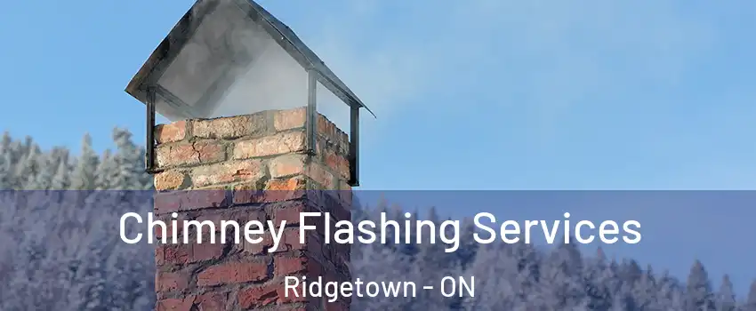 Chimney Flashing Services Ridgetown - ON
