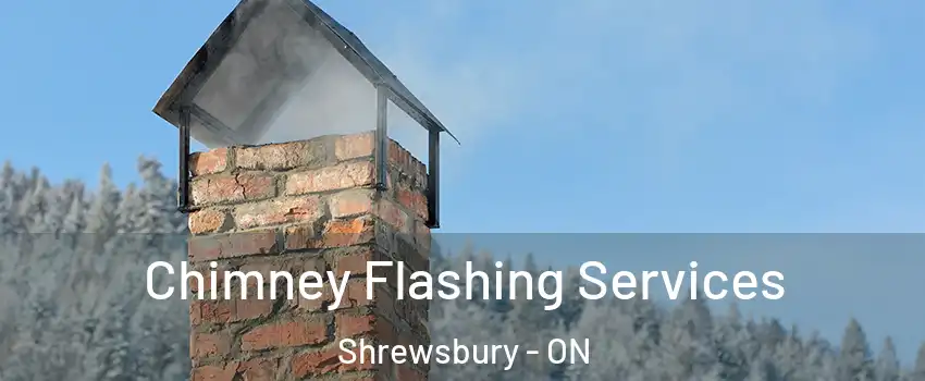 Chimney Flashing Services Shrewsbury - ON