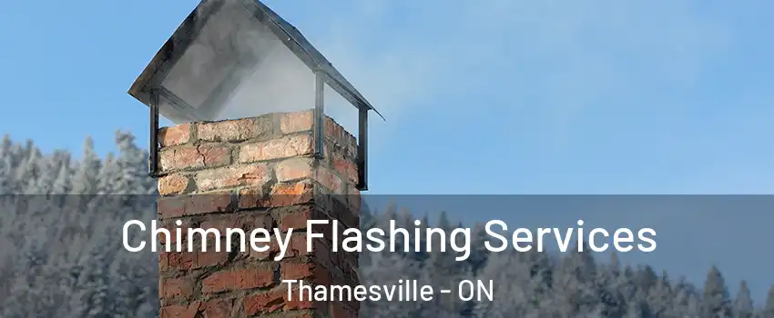 Chimney Flashing Services Thamesville - ON