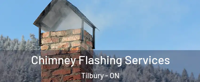 Chimney Flashing Services Tilbury - ON