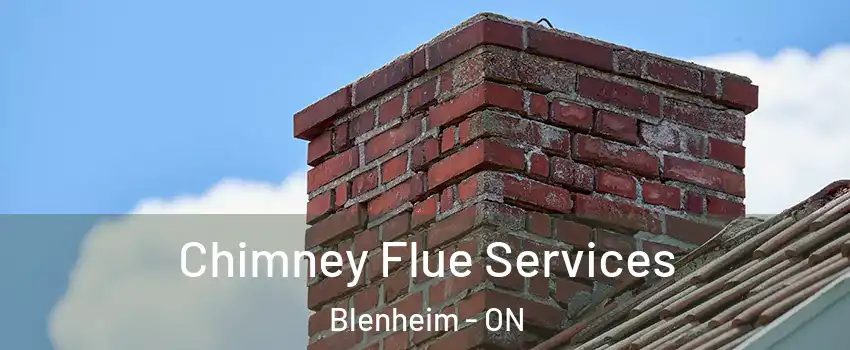  Chimney Flue Services Blenheim - ON