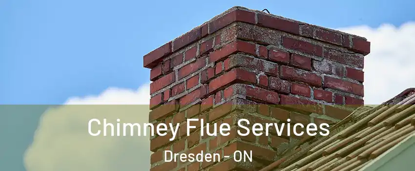  Chimney Flue Services Dresden - ON