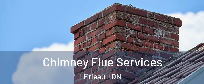  Chimney Flue Services Erieau - ON